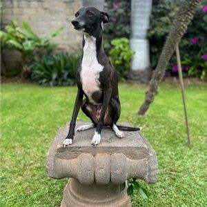 Meet your Posher, Luis